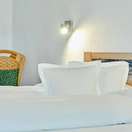 Haus Leiter Gasthuis 3*